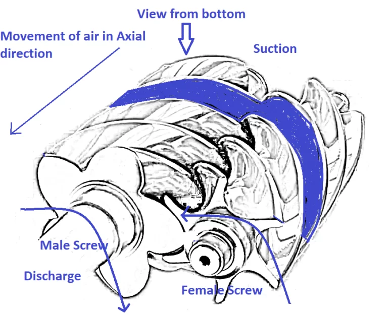View-from-the-Bottom-Side-of-Screws